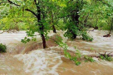 夢見被大水沖走|夢見洪水、發大水